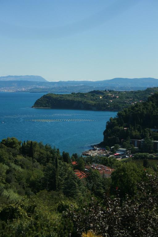 Larocca Studio Apartments Piran Exterior photo
